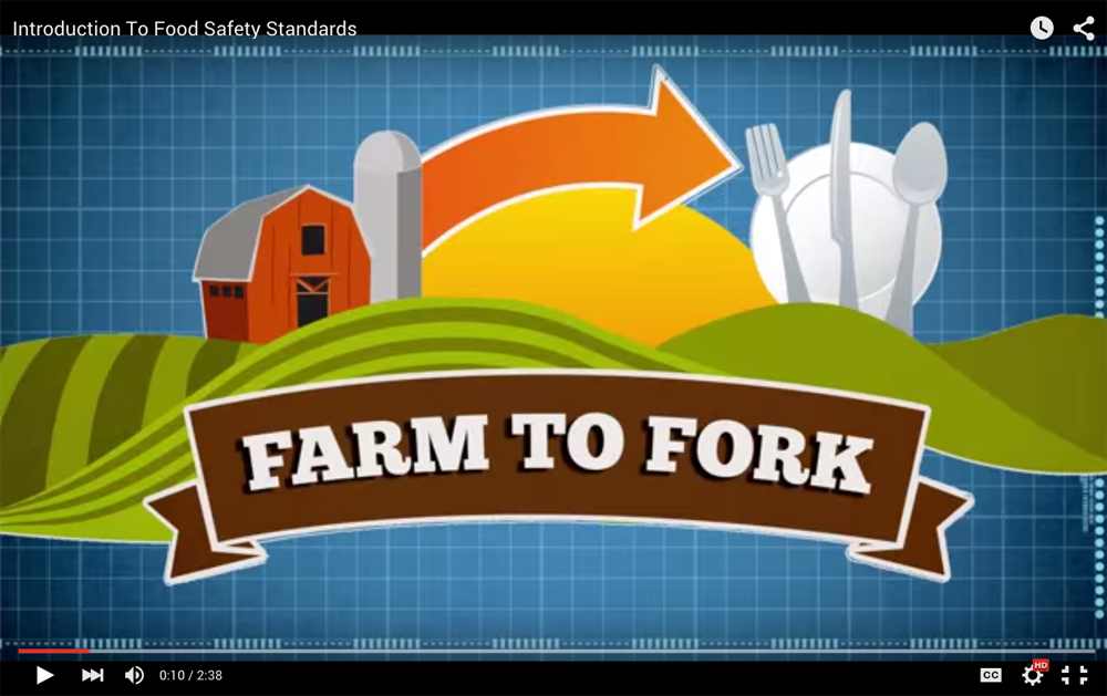 Alchemy-Food-Safety-Standards-Motion-Graphic-Video