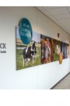 Animal Health Global hdqtr-1