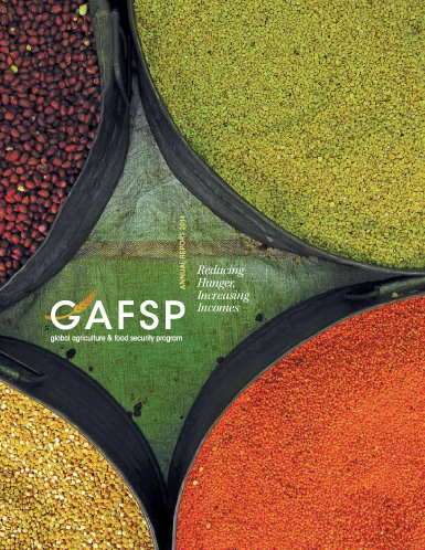 GAFSP Annual Report by Groff Creative