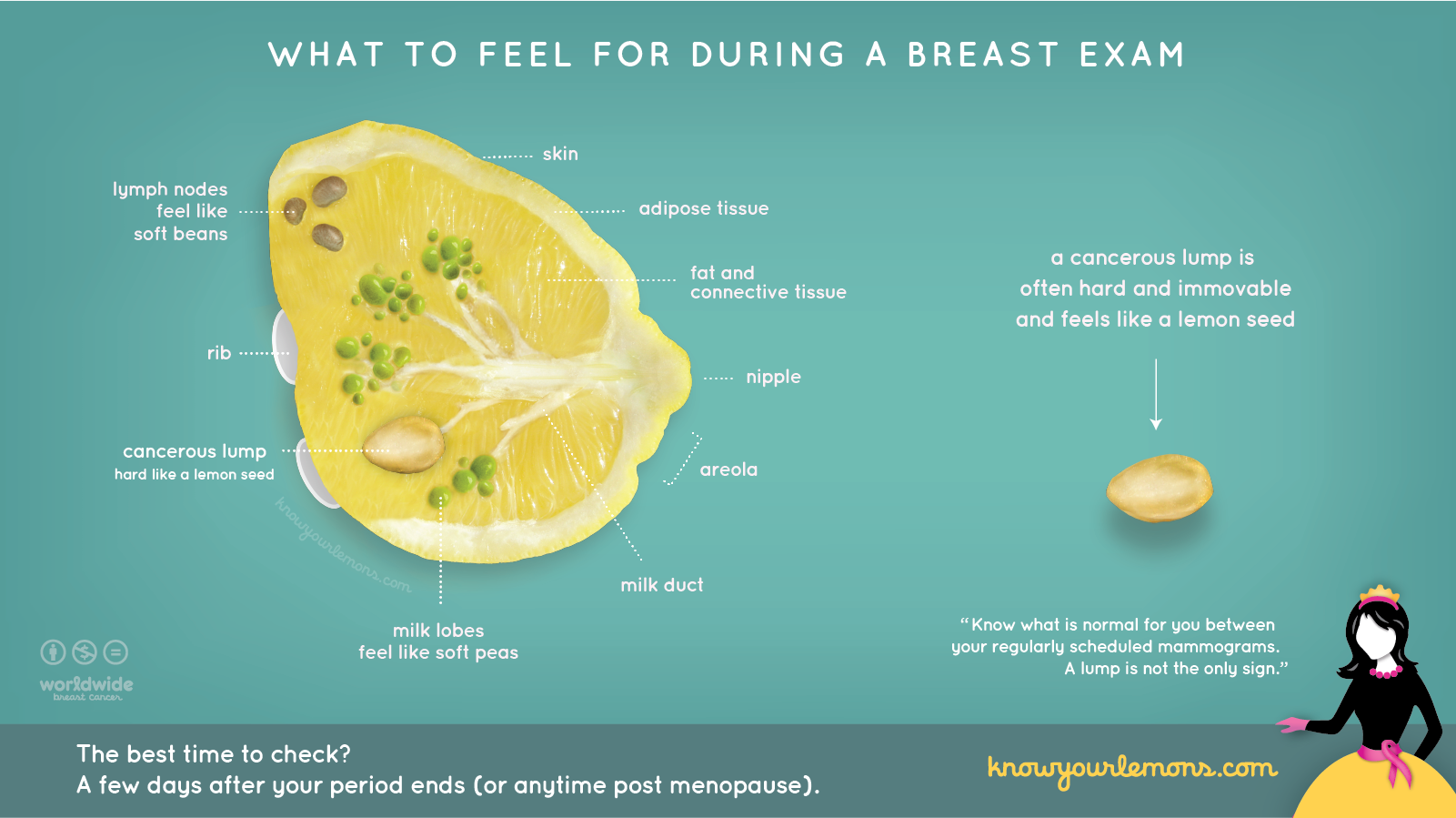 What to feel for during a breast exam